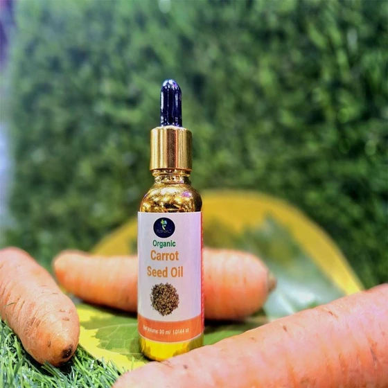 seed-carrot-oil-2.webp