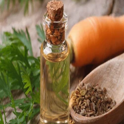 Seed Carrot Oil