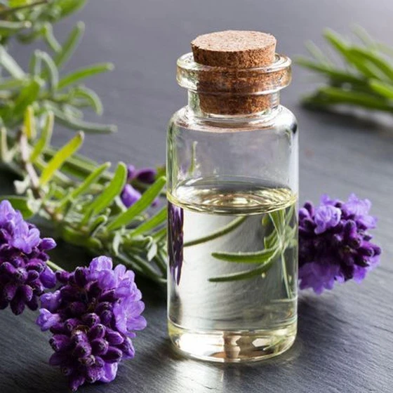 essential-lavender-oil-2.webp