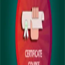 Certificate In Digital Photography, Feature Cost Effective