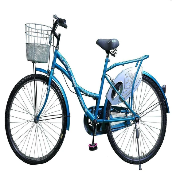 ladies-bicycle-frames-2.webp