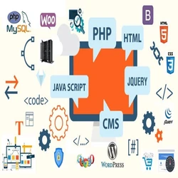 Web design solutions