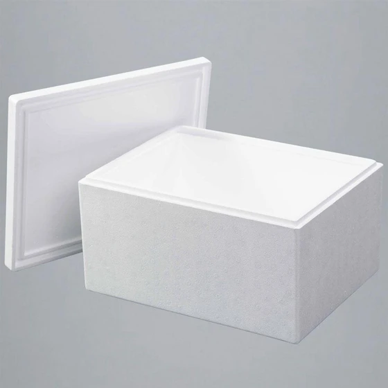 eps-thermocol-boxes-1.webp