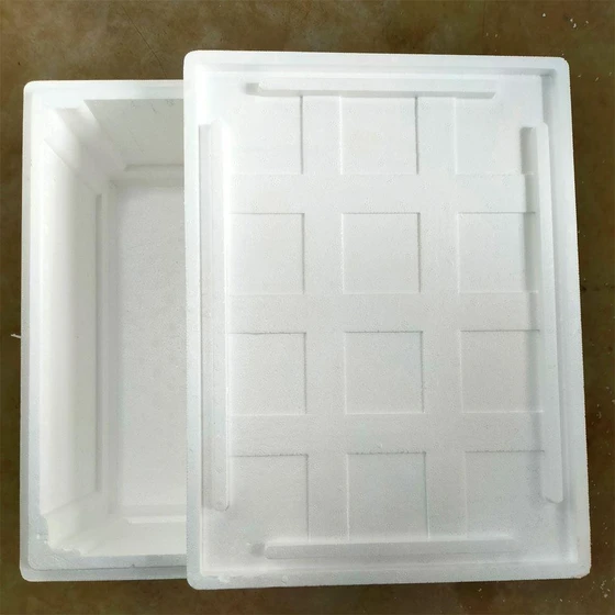 rectangle-thermocol-box-1.webp