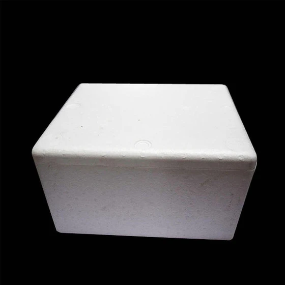 rectangle-thermocol-box-2.webp