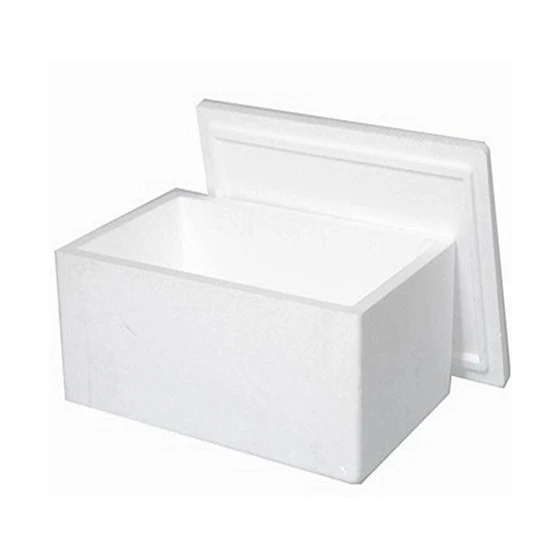 normal-thermocol-box-1.webp