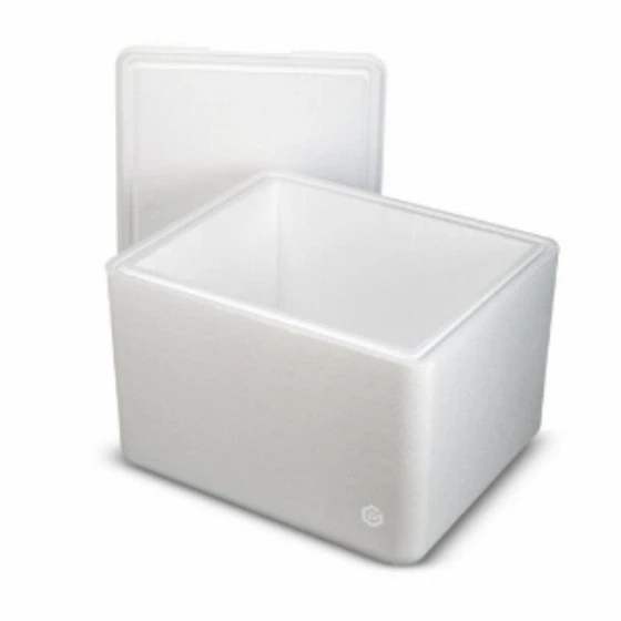 normal-thermocol-box-2.webp
