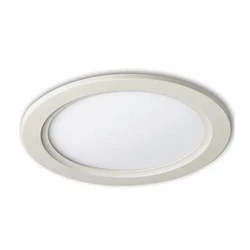LED Ceiling Light