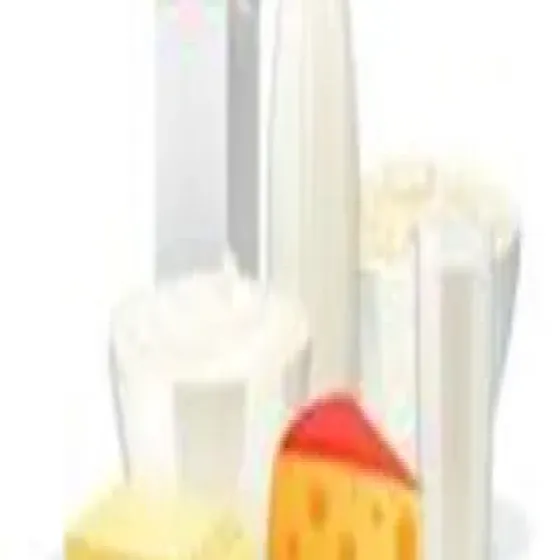 manufacturers-dairy-food-products-9U6EGXob.webp