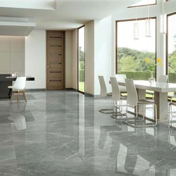 Ceramic Matt Living Room Floor Tiles