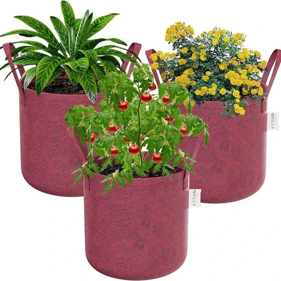 pots-fabric-garden-bags-2.webp