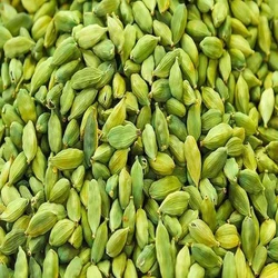Green Fresh Cardamom