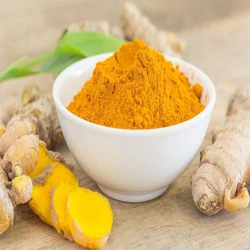 Turmeric Organic Powder