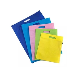Non Woven Carry Bags