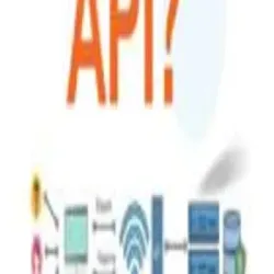 White Label AePS Portal, System Type API Gateway