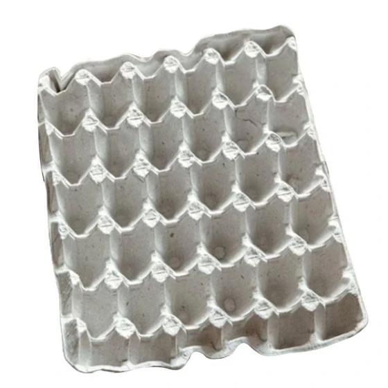 Plastic & Paper Pulp Egg Trays — 30 cm square size