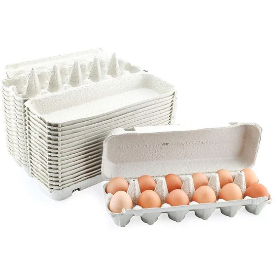plastic-paper-pulp-egg-trays-2.webp