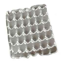 Plastic & Paper Pulp Egg Trays