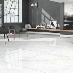 Polished Vitrified Floor Tile