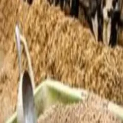 Poultry Feed Supplement, Form Granules
