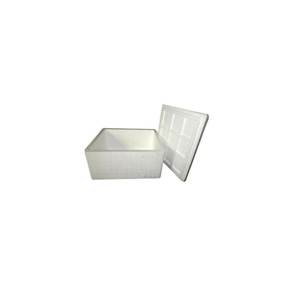 Pharmaceutical Thermocol Boxes — Vary in sizes