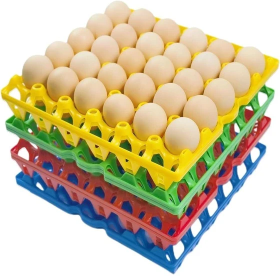 plastic-egg-trays-2.webp