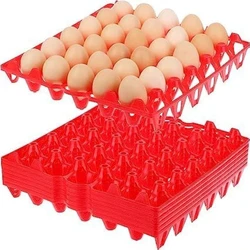 Plastic Egg Trays