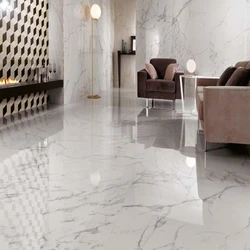 Polished Tiles