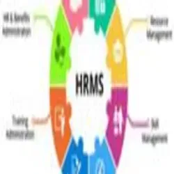 Business Turnaround Consulting, Project Duration 3-9 months