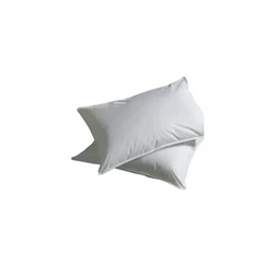 Down Pillows