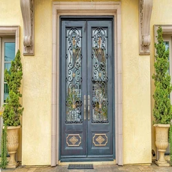 Antique Designer Door