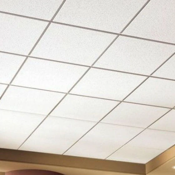 Office Ceiling Tiles — White color 8 mm thickness