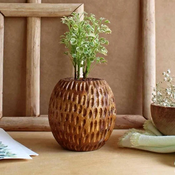 wooden-flower-pots-1.webp