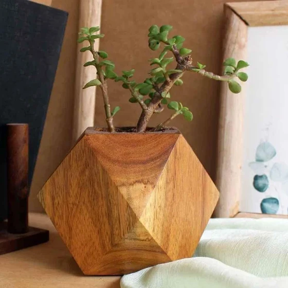 wooden-flower-pots-2.webp
