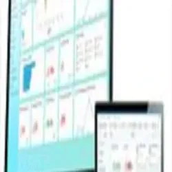 Rice Mill Accounting, Device Compatibility Desktop