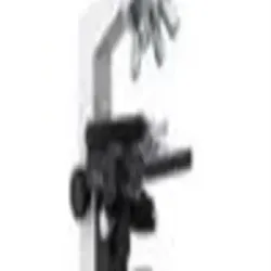 Digital Biological Microscope, Magnification 45X