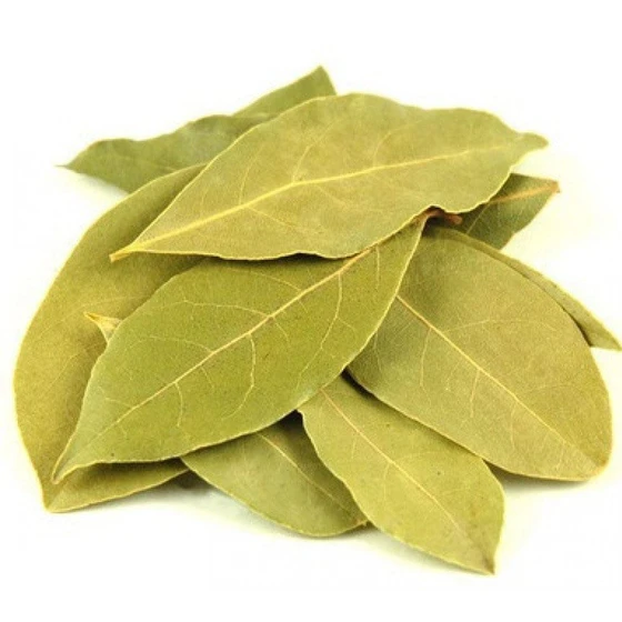 Dried Bay Leaf — Green color cooking usage