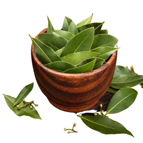 organic-bay-leaf-2.webp