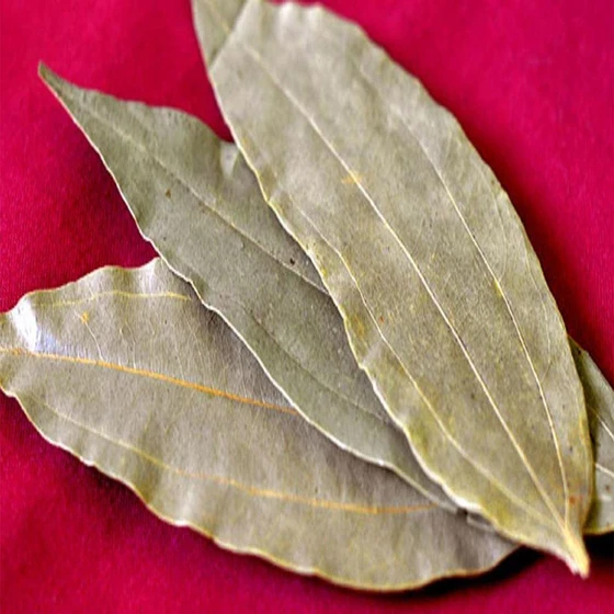 indian-bay-leaf-2.webp