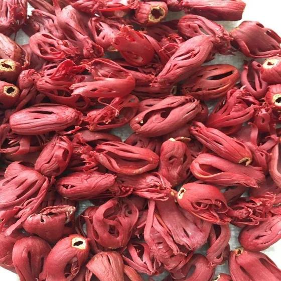 Maroon Kerala Nutmace — Whole form box type