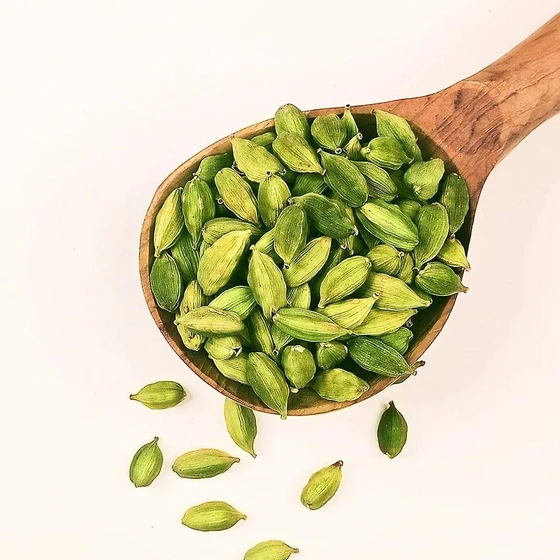 large-green-cardamom-2.webp