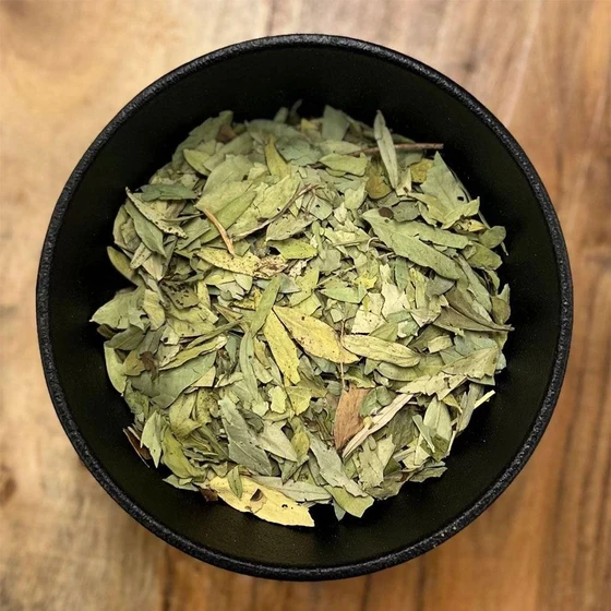 Natural Senna Leaves — Green color whole form
