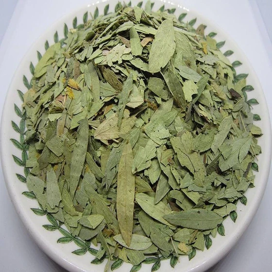 natural-senna-leaves-2.webp