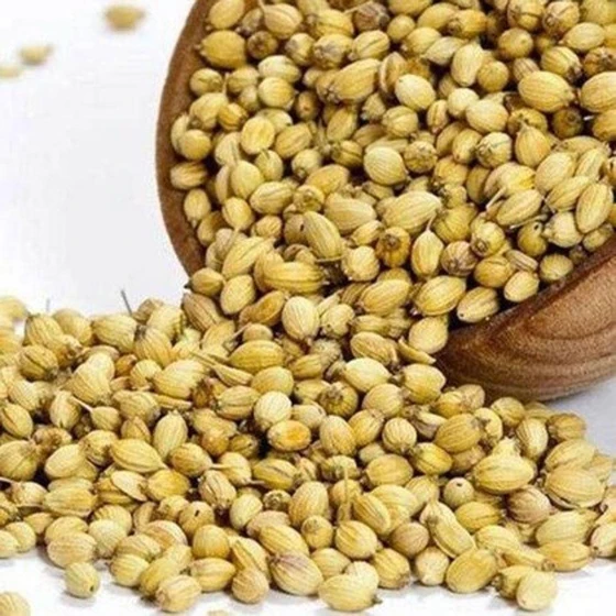 coriander-organic-seeds-2.webp