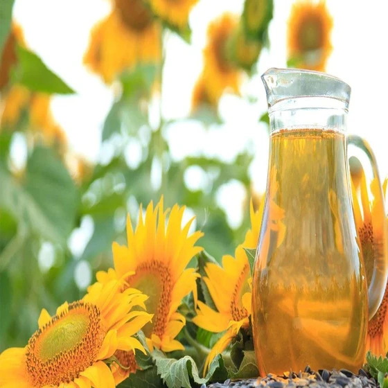 sunflower-seed-oil-2.webp