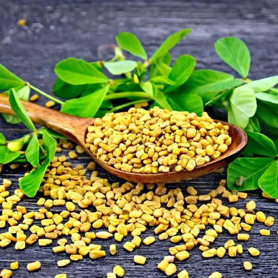 Fenugreek Seeds — Food stabilizer water soluble