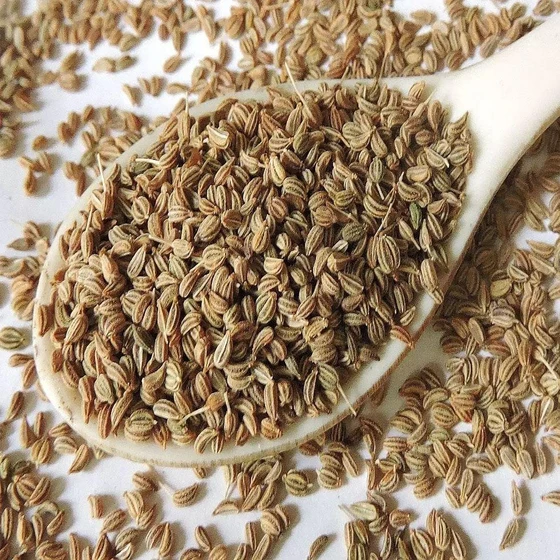 Carom Seeds — Digestive system health benefits