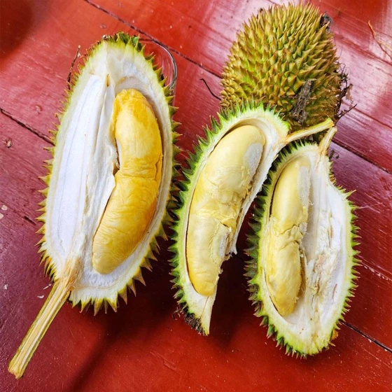 Natural Durin Fruit — Good for health green color