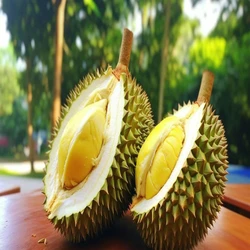 Fresh Durin Fruit