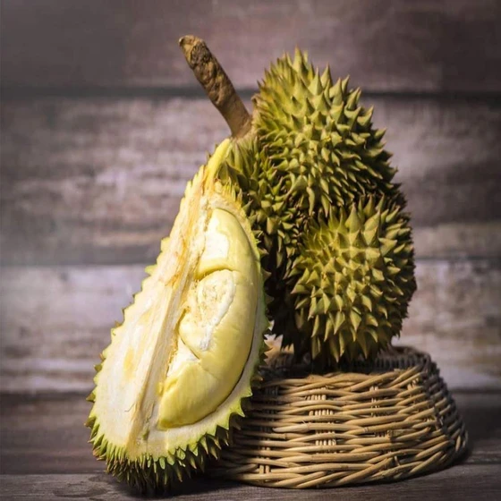 Common Durin Fruit — A grade good in protien healthy